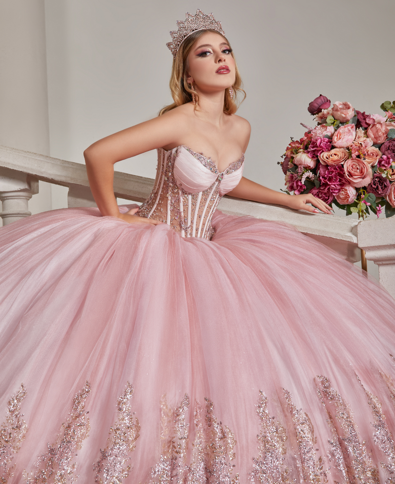 Metamrphosis Collection