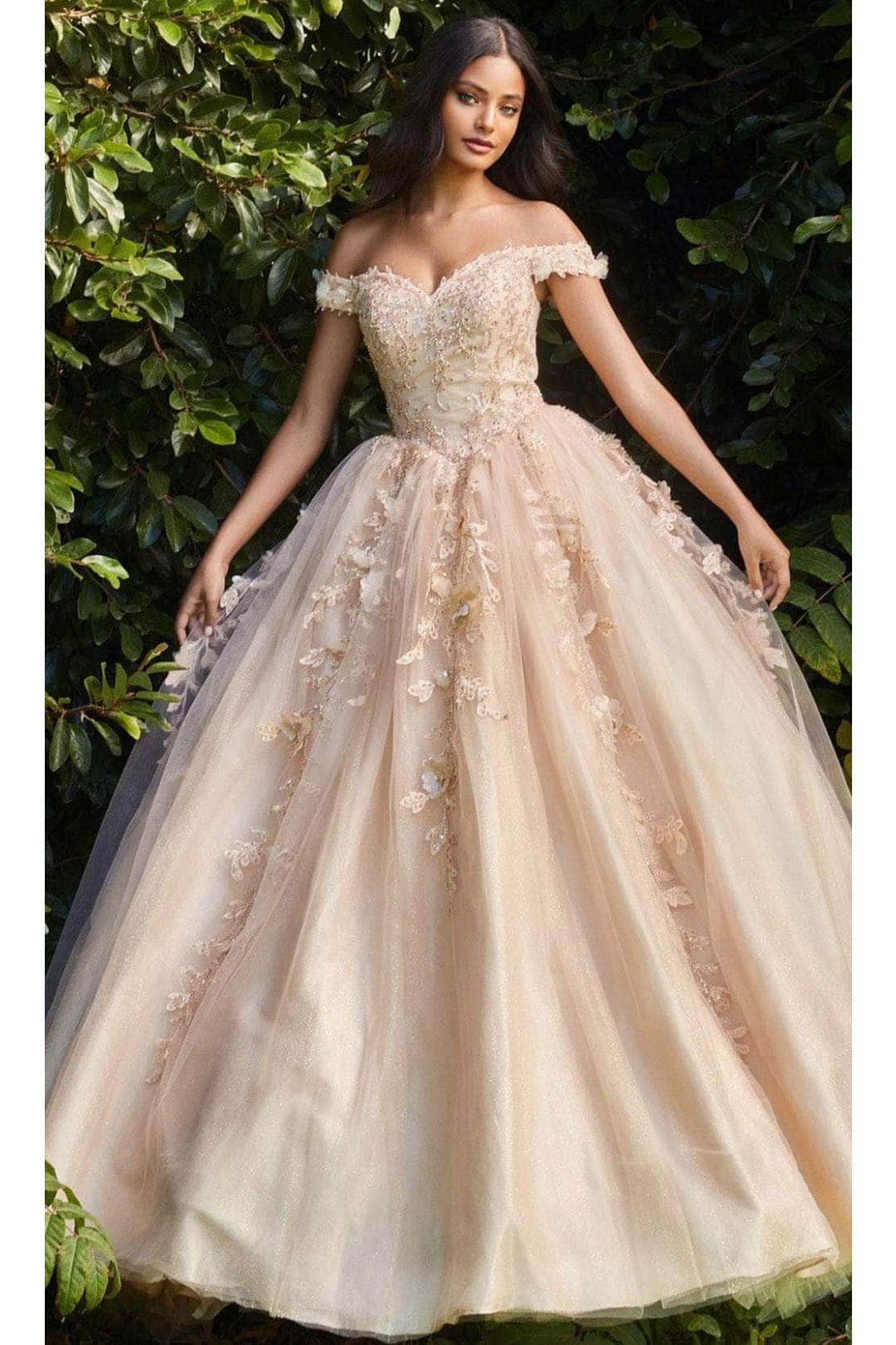 Elegant Off-Shoulder Tulle Ball Gown with Floral Embroidery and Corset Back