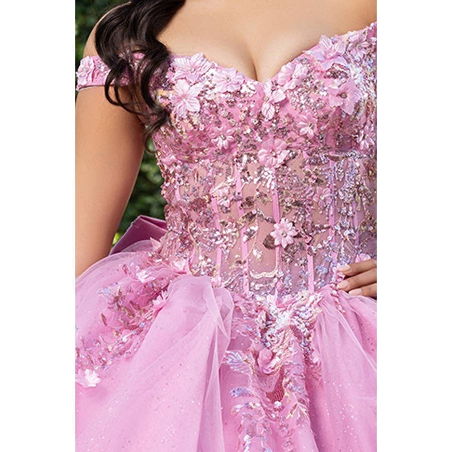 Elegant Off-Shoulder 3D Floral Applique Quinceanera Gown with Lace-Up Back