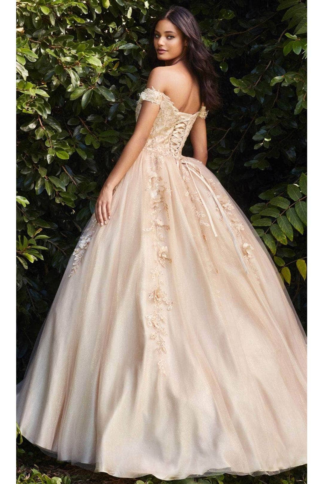 Elegant Off-Shoulder Tulle Ball Gown with Floral Embroidery and Corset Back