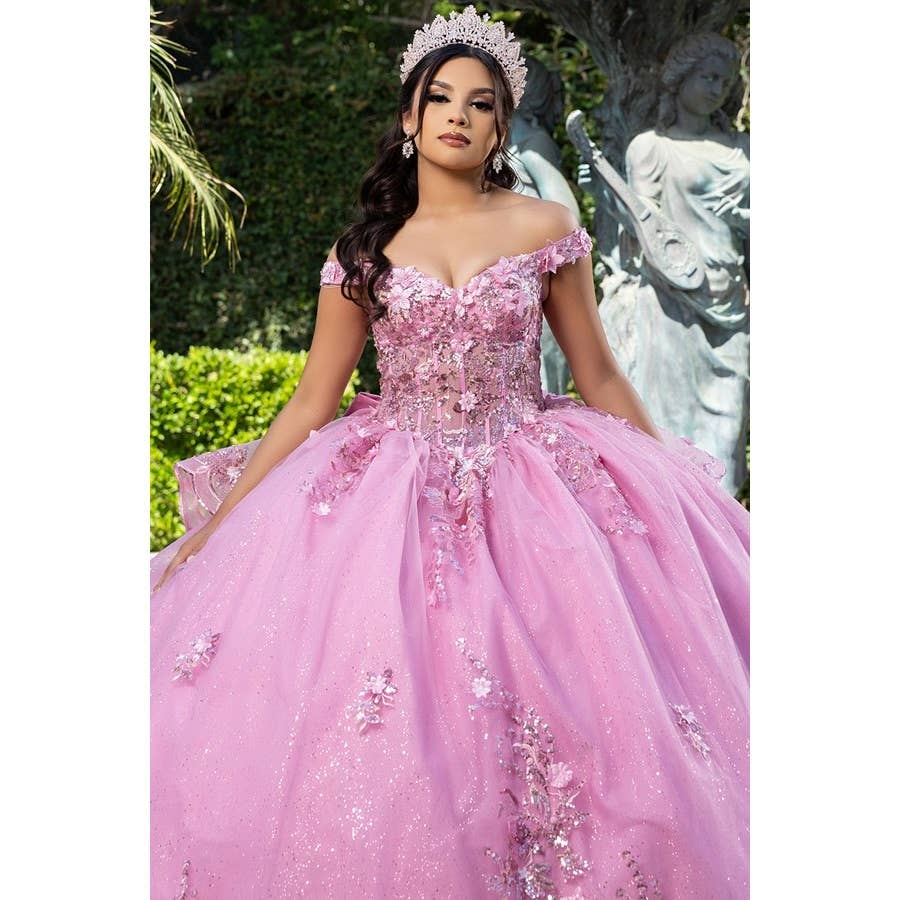 Elegant Off-Shoulder 3D Floral Applique Quinceanera Gown with Lace-Up Back