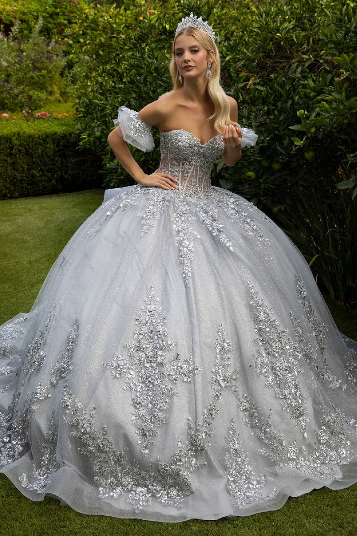 Silver Quinceañera Dress