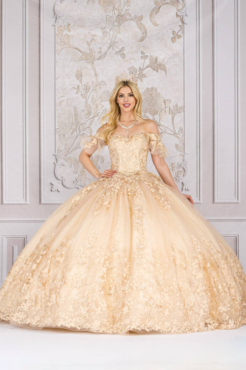 Champagne Detachable Ruffle Sleeves Butterfly Quinceanera Ball Gown for Special Events