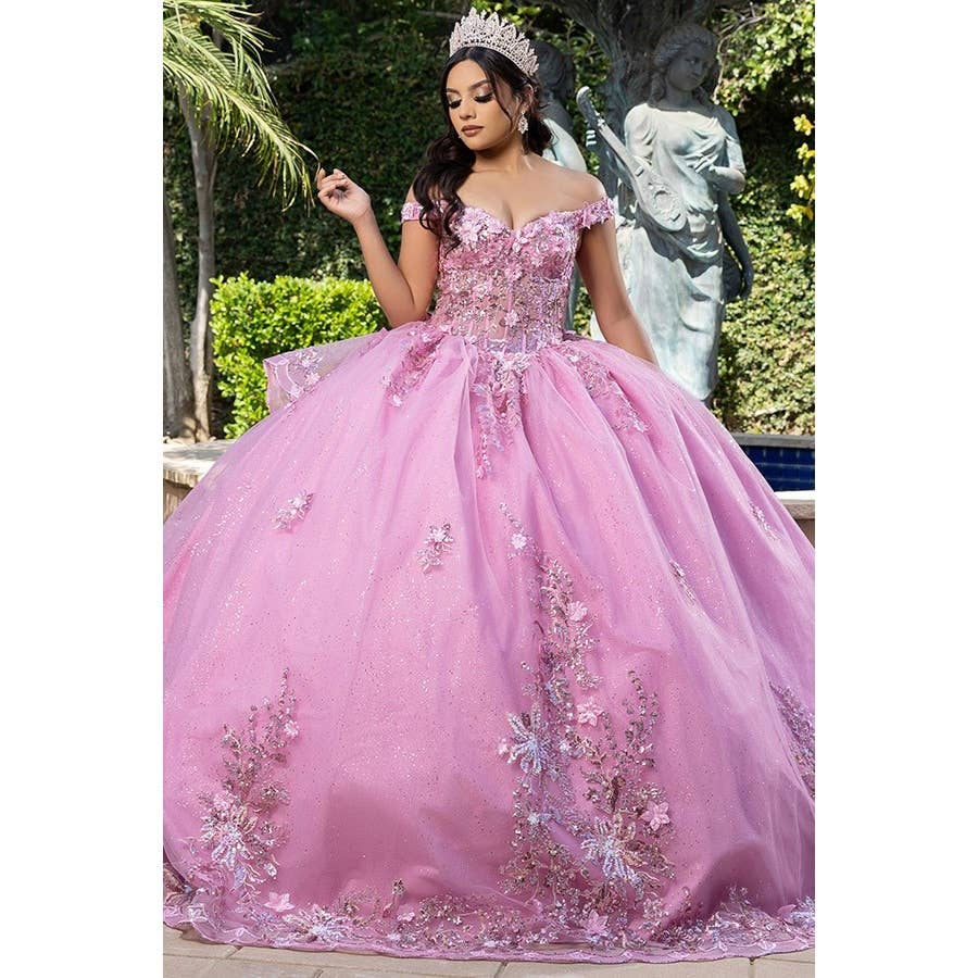 Elegant Off-Shoulder 3D Floral Applique Quinceanera Gown with Lace-Up Back