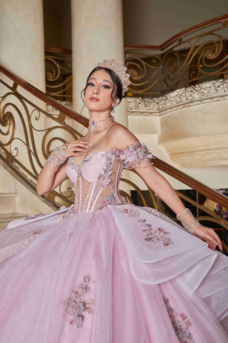 Rosa Bebé Dreamy Mexican Quinceañera Dress with Soft Sparkle & Floral Charm