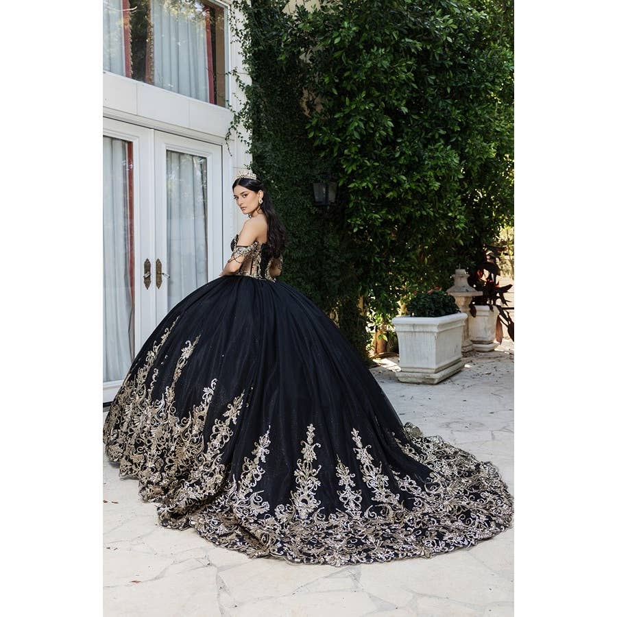 {Black and Gold Quinceañera Dress} - {} at {Linda Mariposa}