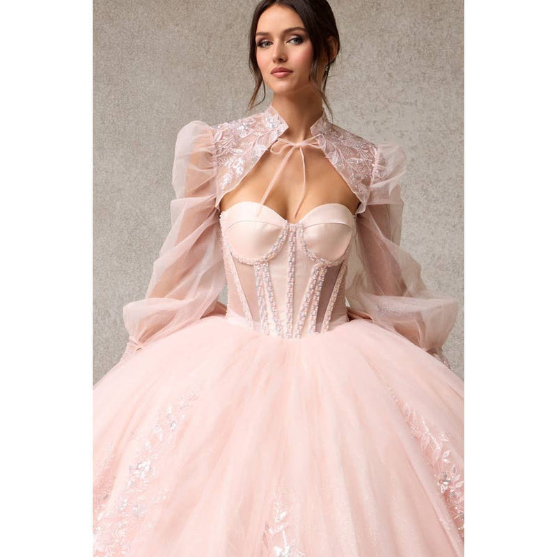 {Blush Pink Quinceañera Ball Gown | Sweetheart Corset & Sheer Bolero} - {} at {Linda Mariposa}