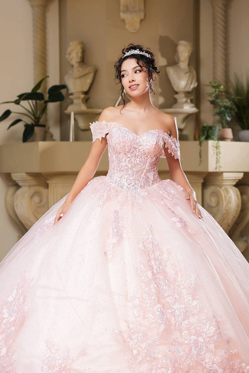 {Blush & Sage Quinceañera Dress} - {} at {Linda Mariposa}