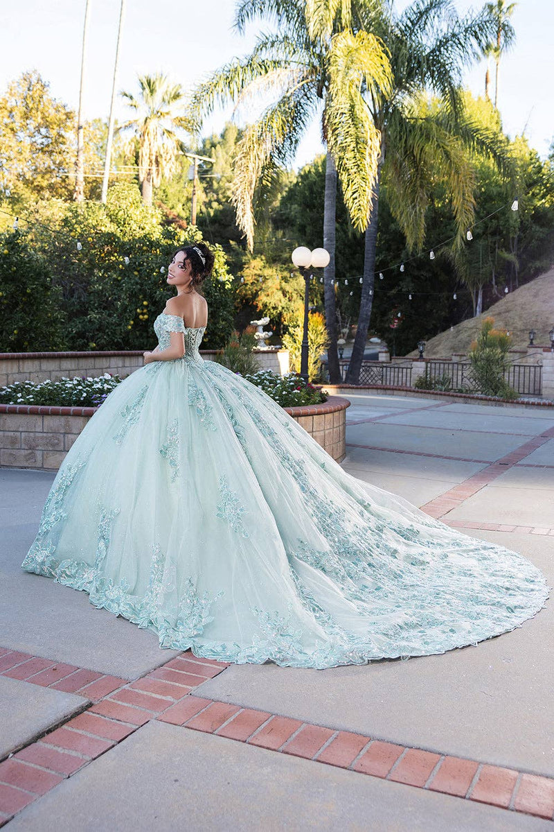 {Blush & Sage Quinceañera Dress} - {} at {Linda Mariposa}