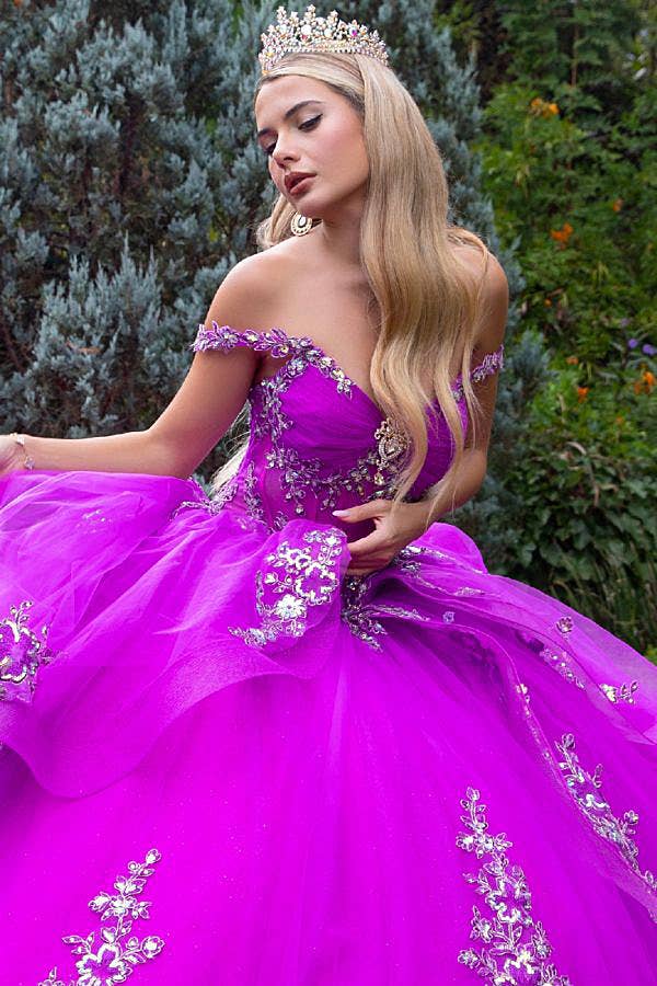 Elegant Off-Shoulder Sweetheart Monarch Quince Ball Gown for Celebrations