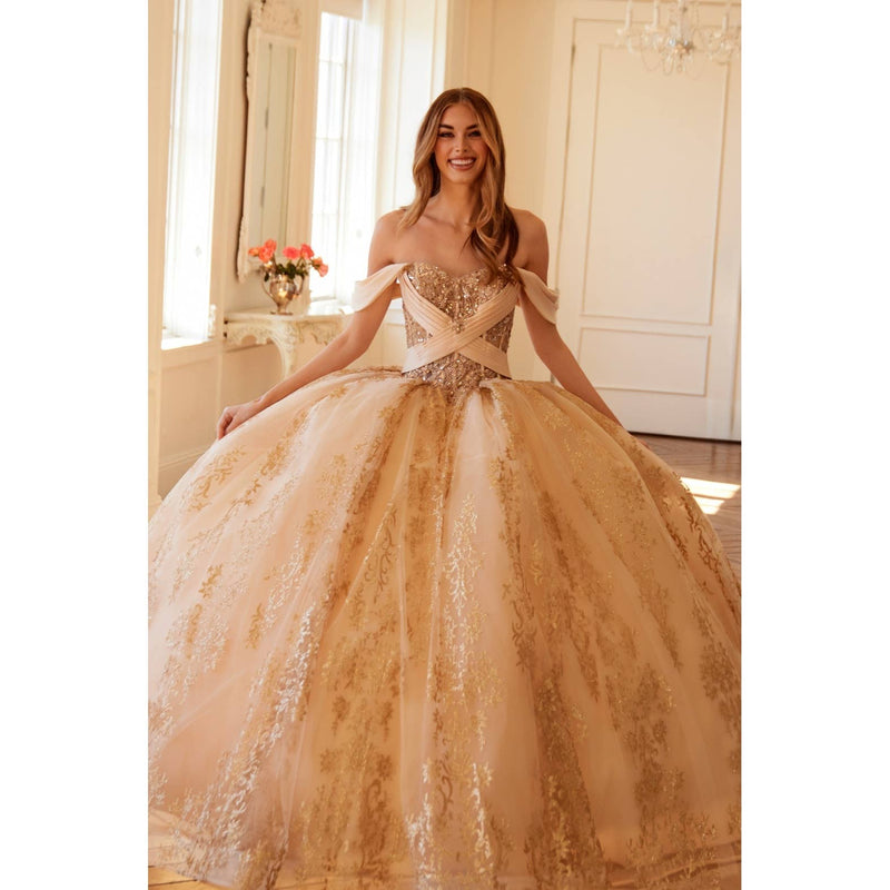 {Embroidered Quinceañera Dress} - {} at {Linda Mariposa}