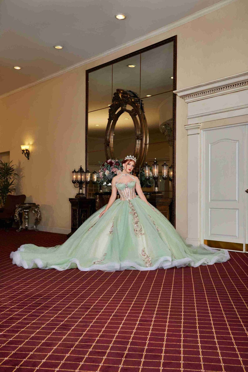 {Garden Glow – Sage Green Quinceañera Dress with Floral Appliqués & Glitter} - {} at {Linda Mariposa}