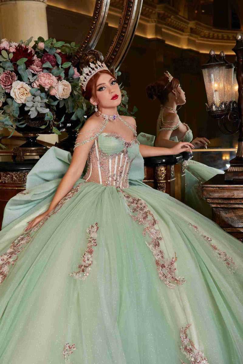 Garden Glow – Sage Green Quinceañera Dress with Floral Appliqués & Glitter