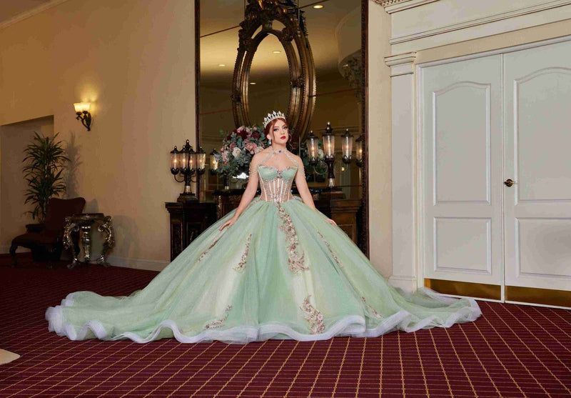 {Garden Glow – Sage Green Quinceañera Dress with Floral Appliqués & Glitter} - {} at {Linda Mariposa}