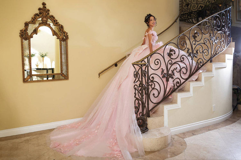 {Glitter Tulle Quinceanera Dress} - {} at {Linda Mariposa}