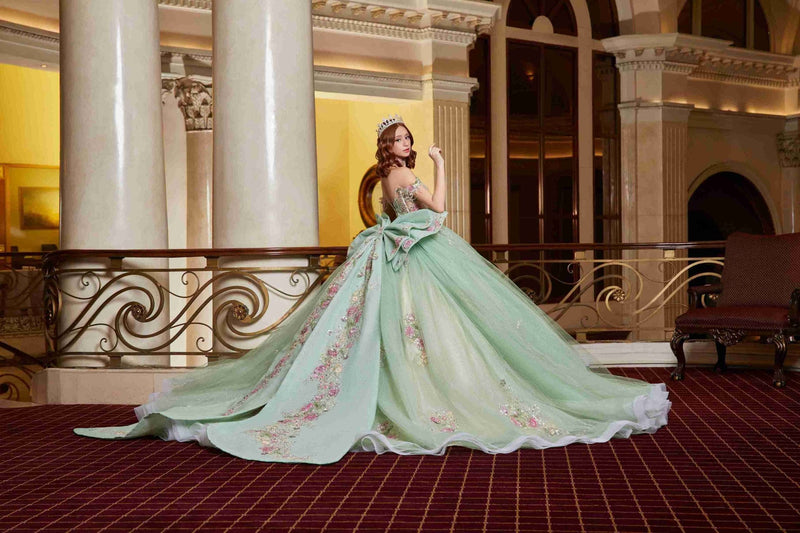 {Perfect Dress 15 Sage Green Mexican Quinceañera Gown with Botanical Sparkle} - {} at {Linda Mariposa}